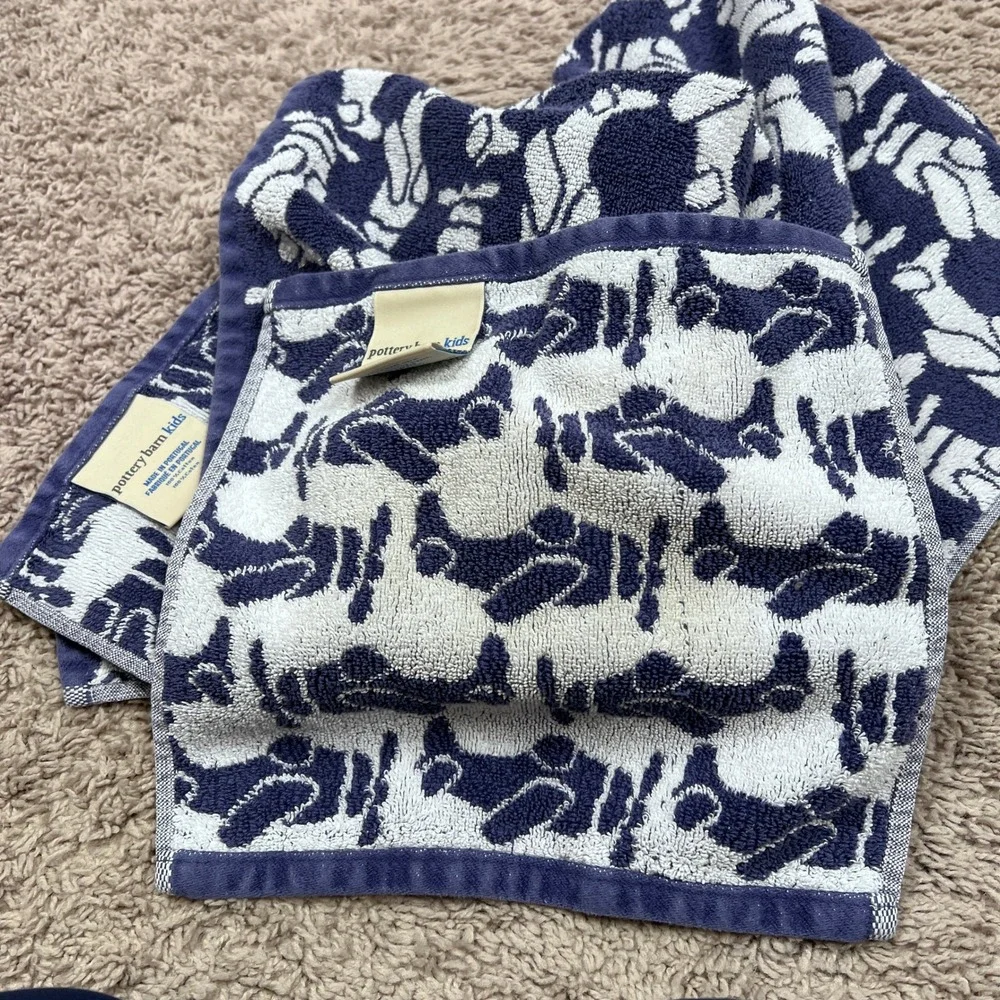 Pottery Barn Kids Airplane Print Bath Towel &‎ Washcloth Lot